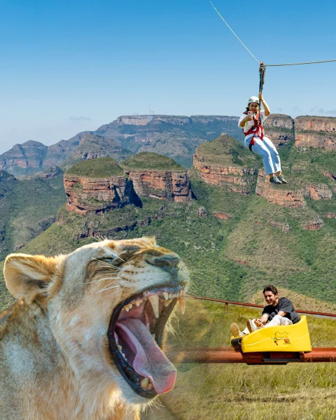 © The Guys Photography - www.theguys.co.za