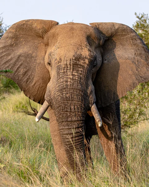 © The Guys Photography - www.theguys.co.za