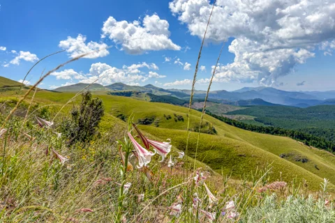 © The Guys Photography - © www.theguys.co.za